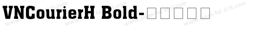 VNCourierH Bold字体转换